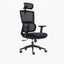 (DAH 365 Care) ERGOCURVE+ Ergonomic Office Chair
