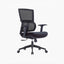 (DAH 365 Care) ERGOCURVE+ Ergonomic Office Chair