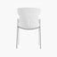 ZIYA - Designer PP Chair