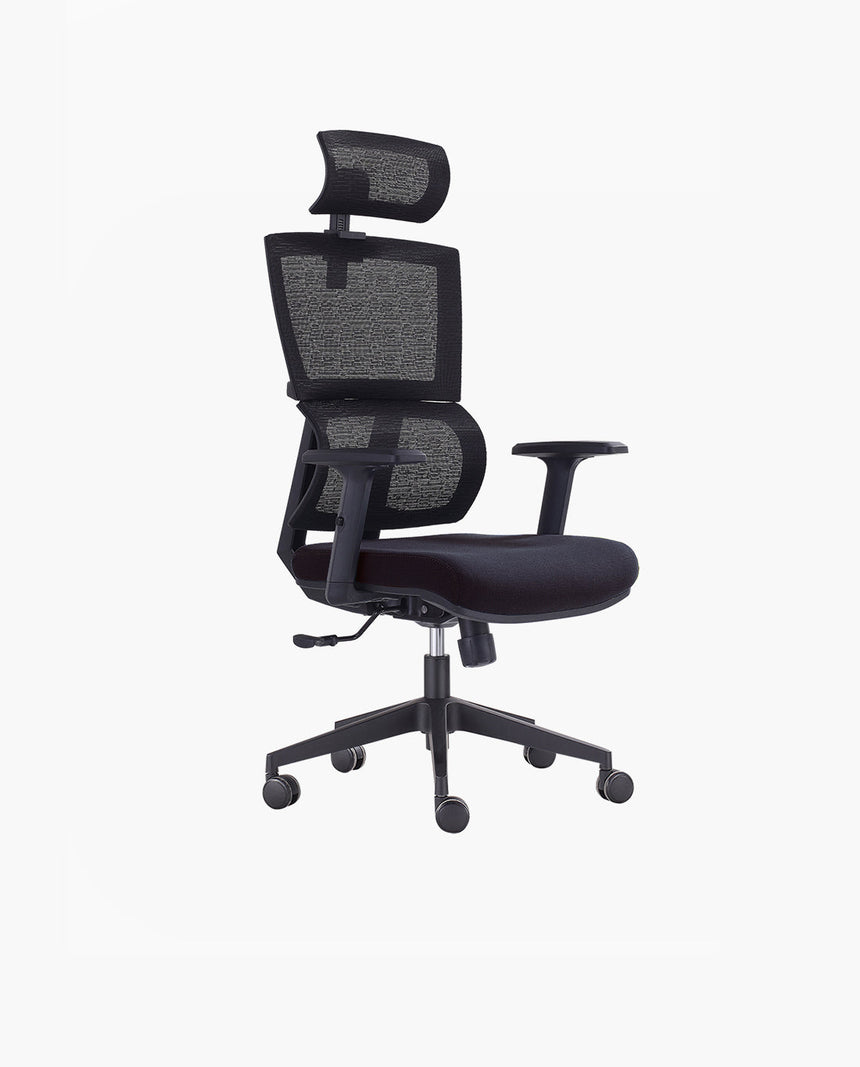 (DAH 365 Care) ERGOCURVE+ Ergonomic Office Chair