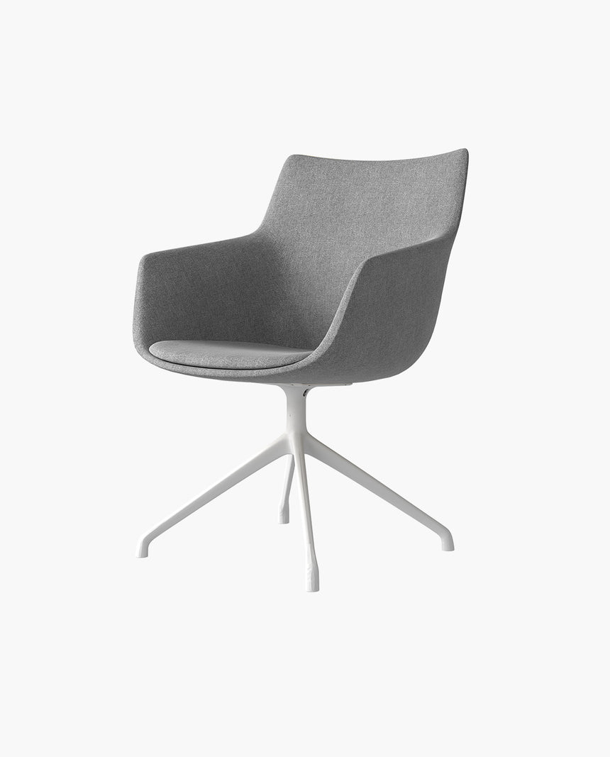 SENOFLY - Meeting Chair