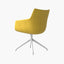 SENOFLY - Meeting Chair